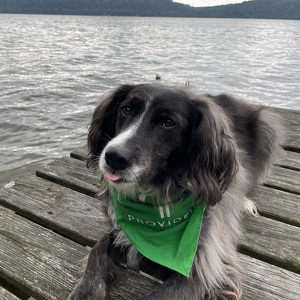 Fundraising Page: Kono PAC ALUM